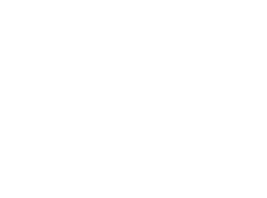 Details-Barber-Studio-logo-wh-600x444